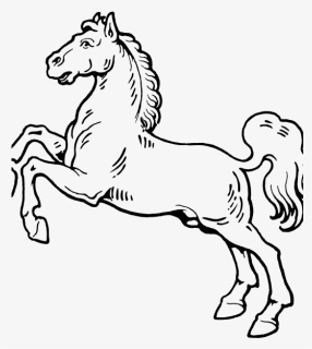White Horse - Big Animals Black And White, HD Png Download, Free Download