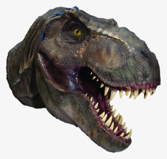 T Rex Head Png - Tyrannosaurus, Transparent Png, Free Download