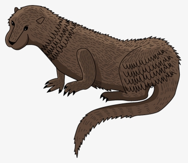 Otter Clipart - North American River Otter, HD Png Download, Free Download