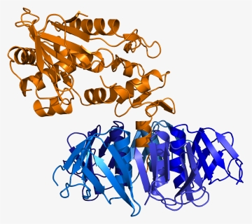 Shiga Toxin Pdb 1r4q - Ab5 Toxin, HD Png Download, Free Download