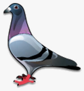 Stock Dove Bird Columbidae Icon - Pigeon Icon, HD Png Download, Free Download