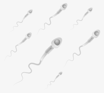 Chain, HD Png Download, Free Download