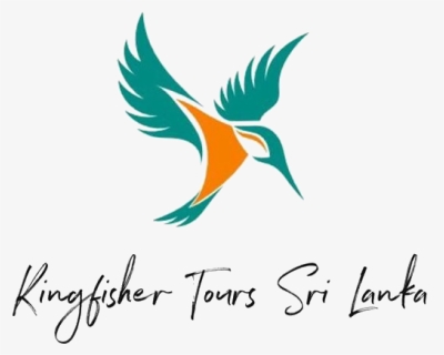 Kingfisher Tours Srilanka - Kingfisher Tours Sri Lanka, HD Png Download, Free Download