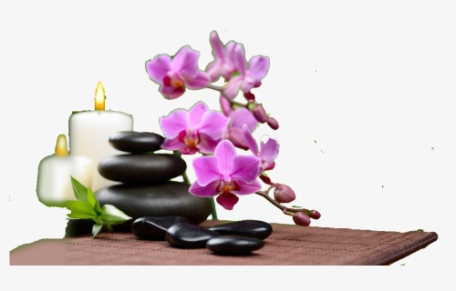 Spa Beauty Png Image Free Download - Spa Beauty Parlour, Transparent Png, Free Download