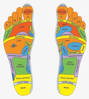 Stories The Feet Can Tell, HD Png Download, Free Download