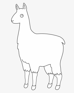 - Llama Outline - Llama Clipart Black And White Transparent, HD Png Download, Free Download