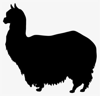 Alpaca Silhouette Sheep Wikipedia - Alpaga Svg, HD Png Download, Free Download