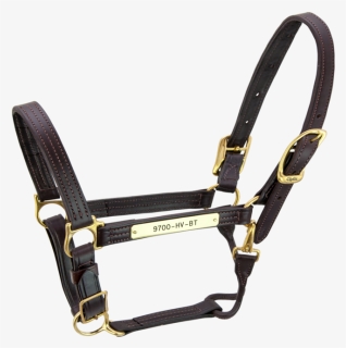 Kentucky Halter - - Halter, HD Png Download, Free Download