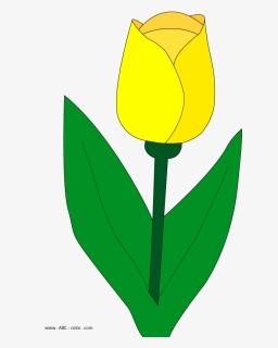 Leaves Clipart Tulip - Тюльпан Рисунок Пнг, HD Png Download, Free Download
