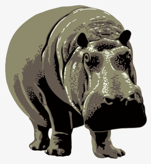 Hippo Photo Background - Philadelphia Zoo Poster, HD Png Download, Free Download