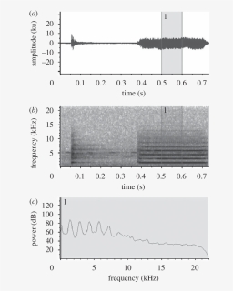 Waveform, Spectrogram And (c) Power Spectrum Of (635x959), - Spectrum And Spectrogram, HD Png Download, Free Download