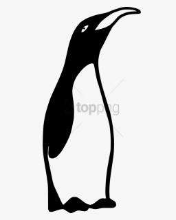Clipart A Penguin Black And White, Png Download - Clipart Black And White Vector Penguin, Transparent Png, Free Download
