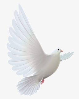 Clipart Bird Descending - Transparent White Dove Png, Png Download, Free Download