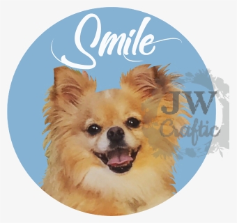 #puppy#smile, #chihuahua, #cute Dog, #pet Lover, #dog, HD Png Download, Free Download