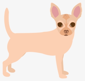 Chihuahua, HD Png Download, Free Download