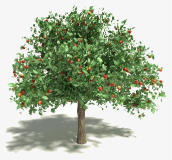 Spring Cleaning Kwik-tap Guide - Fruit Tree Transparent Background, HD Png Download, Free Download