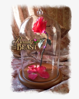 Free Beauty And The Beast Rose In Glass - Artificial Flower, HD Png Download, Free Download