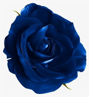 Blue Rose Png Download - Flower Realistic Transparent, Png Download, Free Download