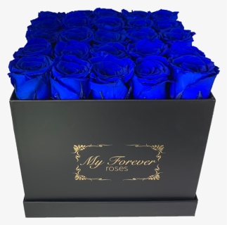 Blue Rose, HD Png Download, Free Download
