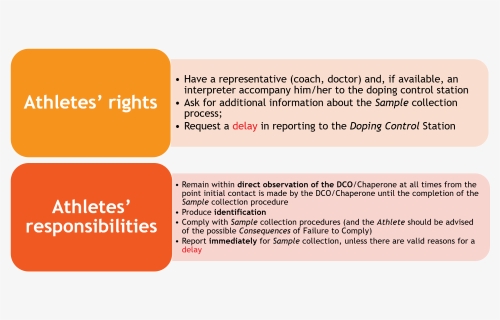 Rights - Responsibilities Of Athletes For Doping Control, HD Png Download, Free Download