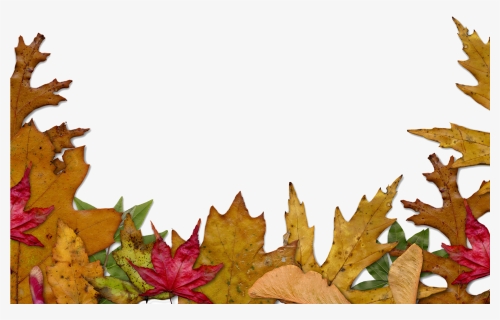 Transparent Autumn Border Png - Transparent Fall Leaves Background, Png Download, Free Download
