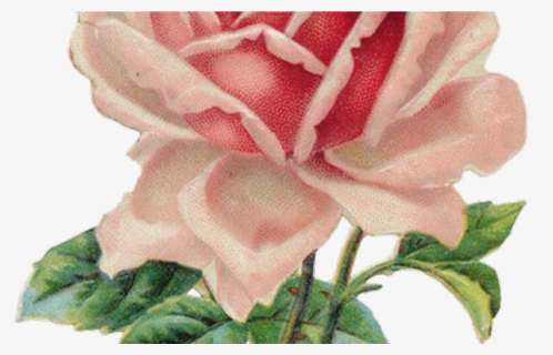 Transparent Tumblr Flower Png - Aesthetic Clip Art Vintage, Png Download, Free Download