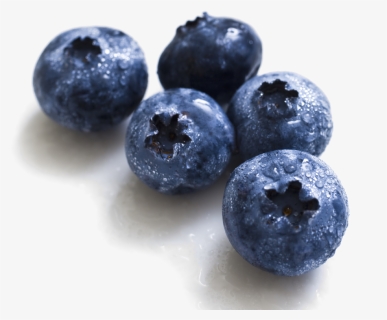 Transparent Blueberry Png, Png Download, Free Download