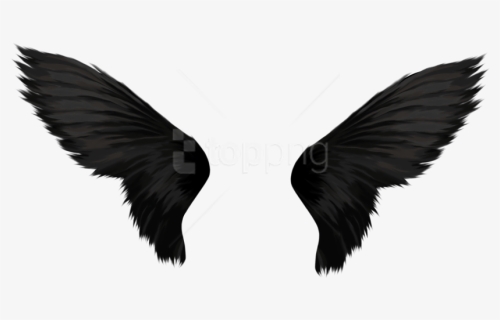 Free Png Download Black Wings Png Images Background - Black Wings Png, Transparent Png, Free Download