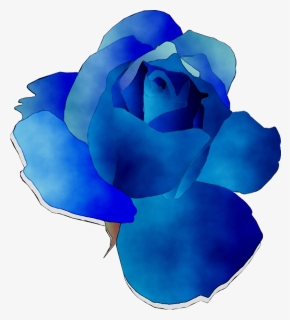 Blue Rose Garden Roses Cut Flowers - Rose, HD Png Download, Free Download