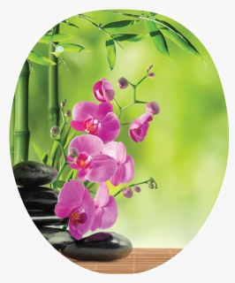 Pink Orchid Png , Png Download - Lavender Flower Orchid Black Stone And Bamboo, Transparent Png, Free Download