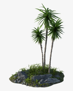 Jungle Png, Transparent Png, Free Download