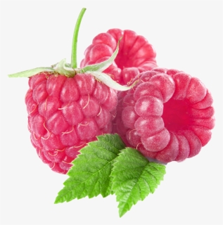 Fruit Clipart Raspberry - Raspberries Clipart, HD Png Download, Free Download
