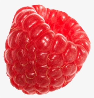 Raspberry Png Photo - Raspberry Png, Transparent Png, Free Download