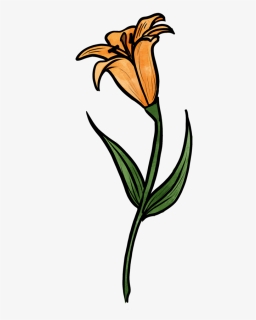 Lily, HD Png Download, Free Download