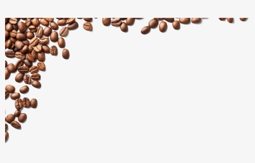Overlay-beans - Coffee Beans Line Png, Transparent Png, Free Download