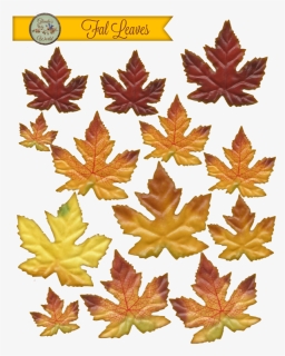 Transparent Thanksgiving Leaves Png - Maple Leaf, Png Download, Free Download