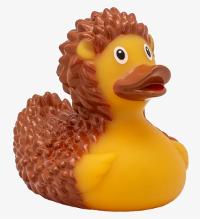 Hedgehog Rubber Duck - Bath Toy, HD Png Download, Free Download