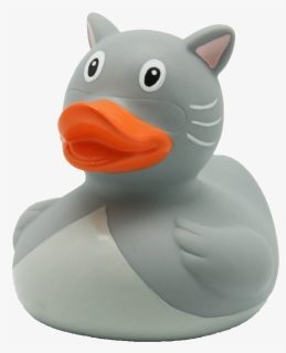 Cat Rubber Duck, HD Png Download, Free Download