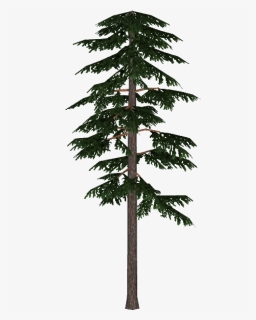 Tree Pine Silhouette Clip Art - Scots Pine Png, Transparent Png, Free Download