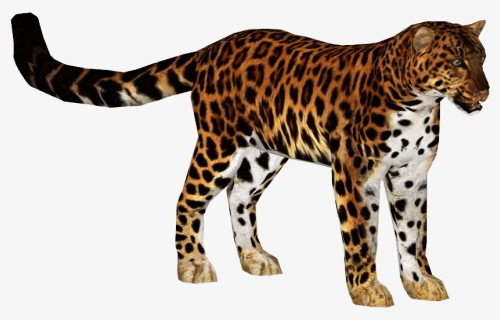 Amur Leopard - Zoo Tycoon 2 Amur Leopard, HD Png Download, Free Download