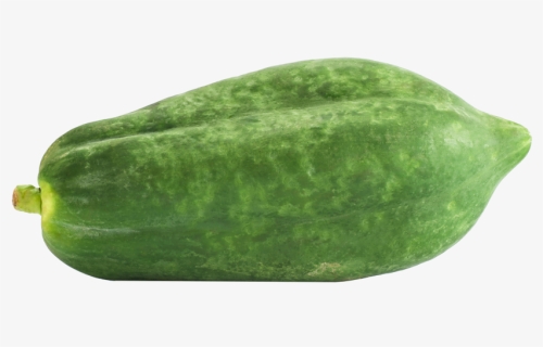 Green Papaya - Gourd, HD Png Download, Free Download