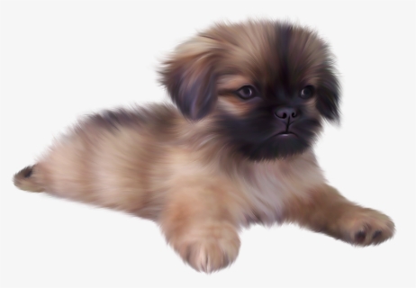 Cute Puppy Png - Cute Animals Transparent Background, Png Download, Free Download