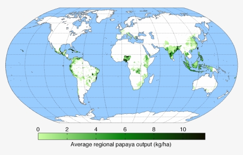 File - Papayayield - Dye Production World Map, HD Png Download, Free Download