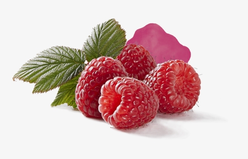 Raspberry, HD Png Download, Free Download