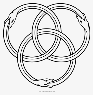 Ouroboros Coloring Page - Snake Eating Itself, HD Png Download, Free Download