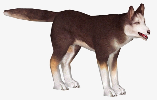 Husky Png, Transparent Png, Free Download