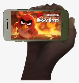 Angry Birds, HD Png Download, Free Download