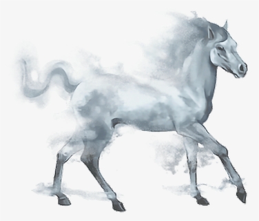Horses Png , Png Download - Mist Horse, Transparent Png, Free Download