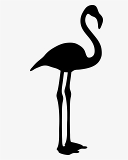 Pink Flamingo Black And White, HD Png Download, Free Download