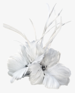 Feathers - Argentina Collection - White - Headpiece, HD Png Download, Free Download